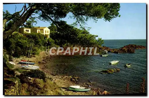Cartes postales moderne La Corniche D'Or Calanque au Parc Santa Lucia