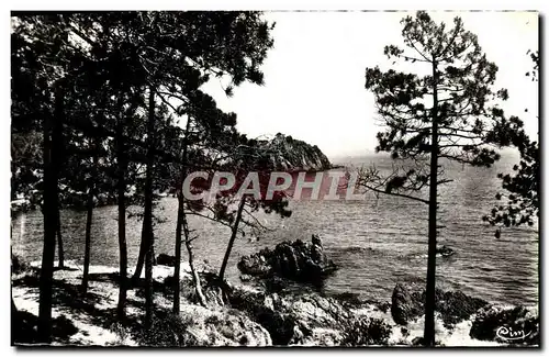 Cartes postales La Cote d'Azur Miracle de la Nature La Corniche d'Or