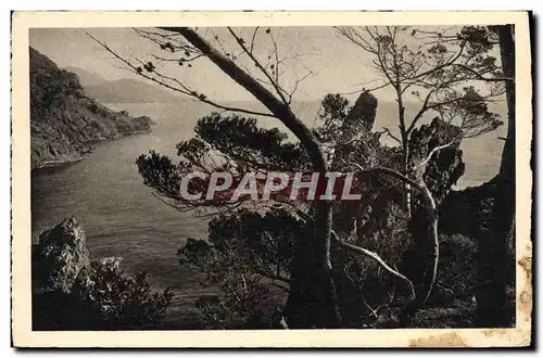 Cartes postales La Corniche D&#39Or Vers Agay