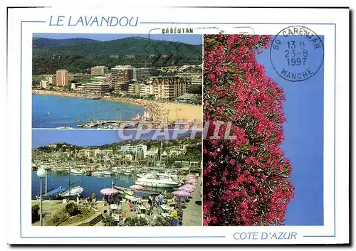 Cartes postales moderne Le Lavandou Cote D'Azur