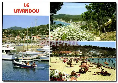 Cartes postales moderne Le Lavandou