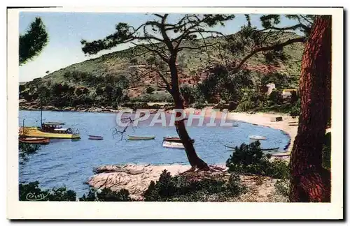 Cartes postales Cote d'Azur Le Lavandou Anse de la Fosette