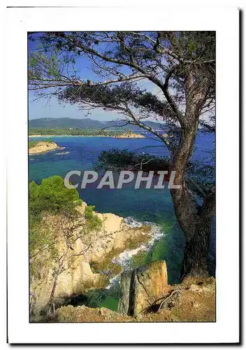 Cartes postales moderne Image du Sud Cote D'Azur