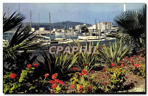 Cartes postales moderne Cote d&#39Azur French Riviera Le Lavandou Vue sur le port