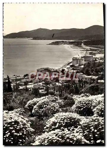 Cartes postales moderne Le Lavandou Vue du Lavandou au Cap Benat