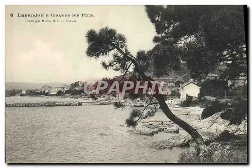 Cartes postales Le Lavandou A Les Pins