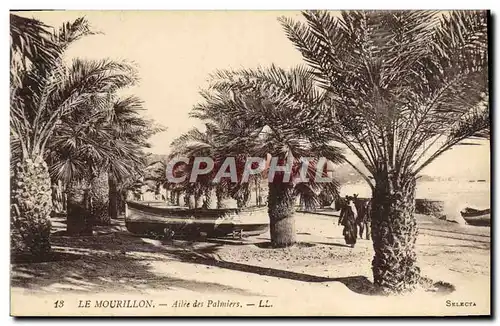 Cartes postales Le Mourillon Ailee des Palmiers