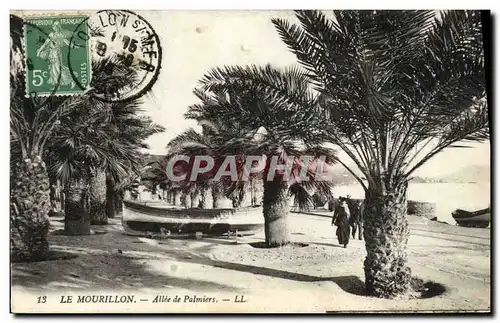 Cartes postales Le Mourillon Allee de Palmiers