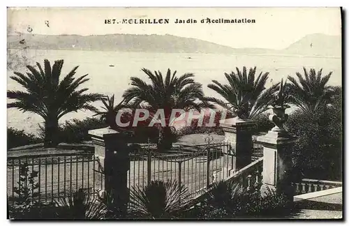 Cartes postales Mourillon Jardin d'Acclimatation