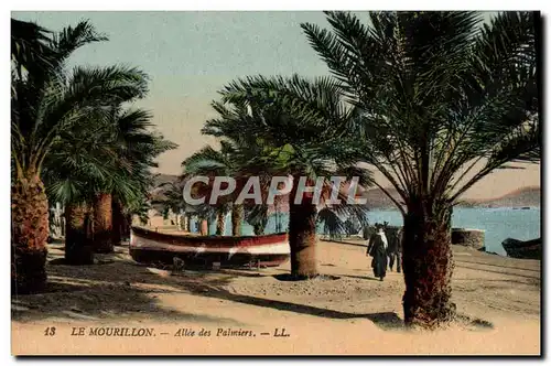 Cartes postales Le Mourillon Allee des Palmiers