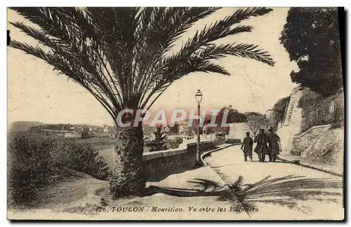 Cartes postales Toulon Mourilion Vu entre les Palmiers