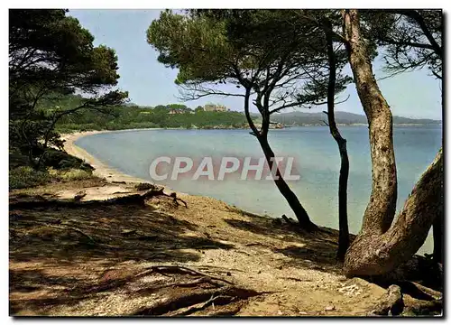 Moderne Karte Ille De Porquerolles Plage de la Courtade