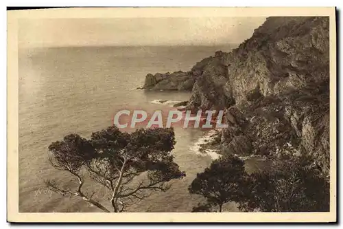 Cartes postales moderne Les Iles d'Hyeres Porquerolles La Grande Cale