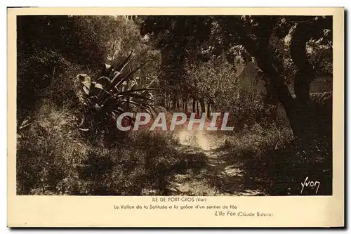 Cartes postales moderne Ile De Port Cros Le Vallon de la Soltude a la grace d'un sentier de fee