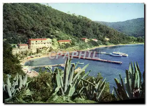 Cartes postales moderne Ile De Port Cros Le Port en amphitheatre avec ses maison de pecheurs et ses hotels