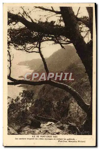 Cartes postales moderne Port Cros Ses sentiere longeant les cretes sauvages ou nichent les goelands