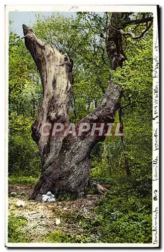 Cartes postales Hotellerie de la Sainte Baume