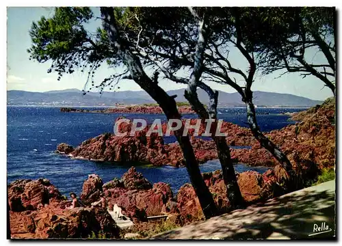 Cartes postales moderne Saint Raphael Rochers au Parc Santa Lucia et le Lion de Terre