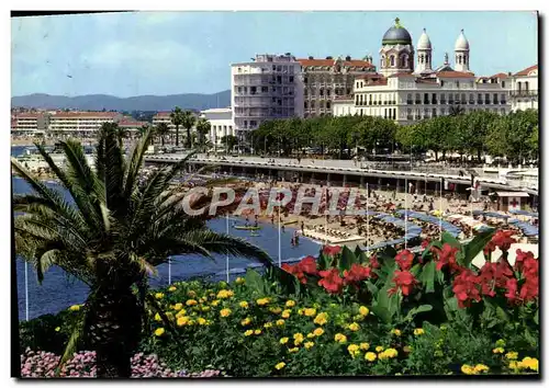 Cartes postales moderne Saint Raphael Le Port