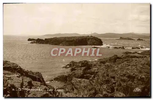 Cartes postales moderne Saint Raphael Les Lions