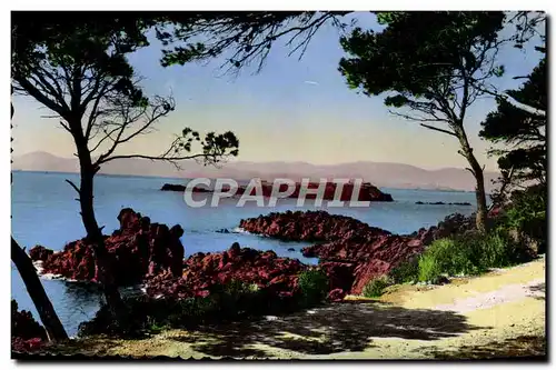 Cartes postales moderne Saint Raphael Le Lion de Terre