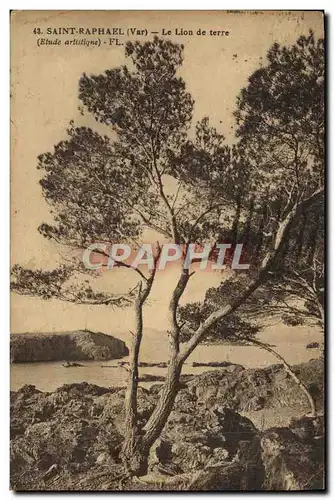 Cartes postales Saint Raphael Le Lion de terre