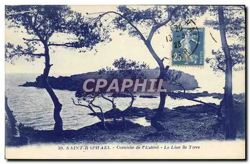 Cartes postales Saint Raphael Corniche de l&#39Eslerel Le Lion de Terre