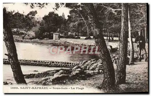 Cartes postales Saint Raphael Sous bois La Plage Gendarme