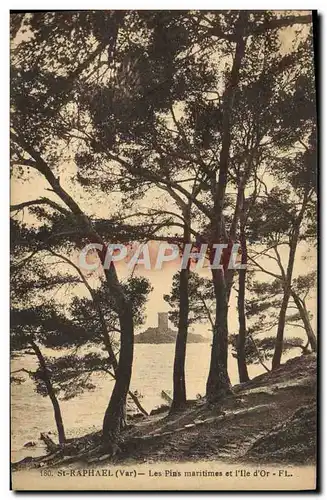 Cartes postales St Raphael Les Pins maritimes et l&#39Ile d&#39Or