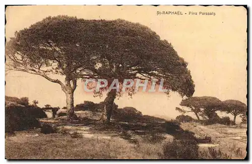 Cartes postales St Raphael Pins Parasols