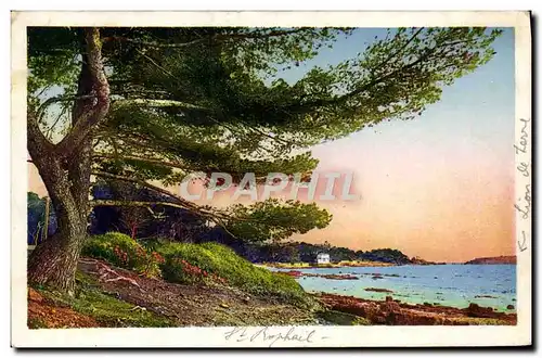 Cartes postales La Cote D&#39Azur Saint Raphael Le Lion de Terre et la Plage