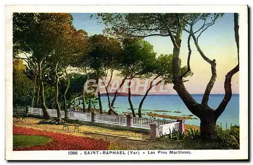 Cartes postales Saint Raphael Les Pins Maritimes