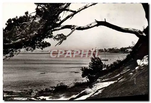 Ansichtskarte AK Saint Raphael Vue sur la ville et le golfe de Frejus