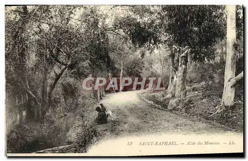 Cartes postales Saint Raphael Allee des Mimosas