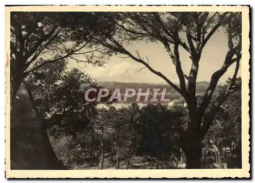 Cartes postales Saint Tropez Vue vers Sainte Maxime