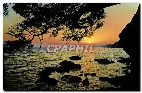 Cartes postales moderne Le Cote d&#39Azur Saint Tropez Coucher de Soleil