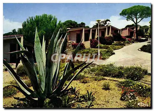 Cartes postales moderne Sainte Maxime Hotle Maxima 2000 Les Bungalows