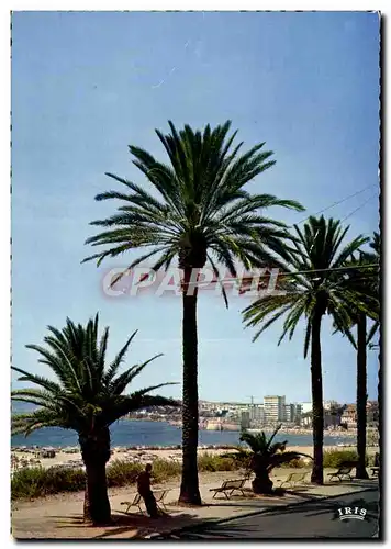 Cartes postales moderne Reflets de La Cote d&#39Azur Toulon Promenade du Morilln