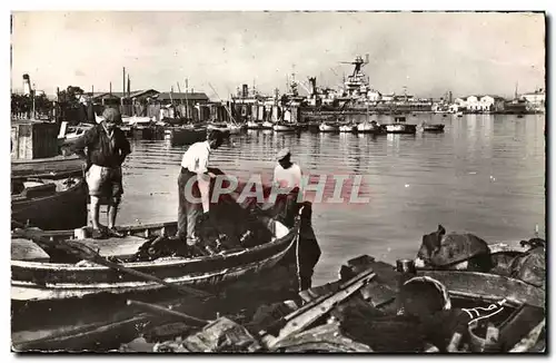 Cartes postales moderne Toulon sur Mer Le Petit Rang pecheurs