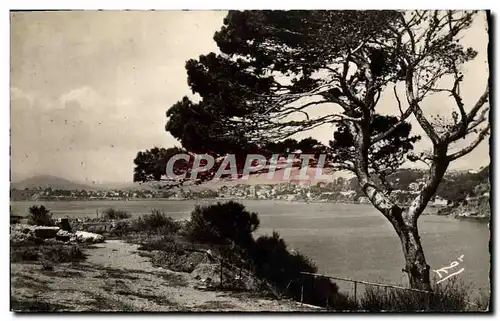 Cartes postales moderne Toulon sur Mer Vue prise du Cap Brun