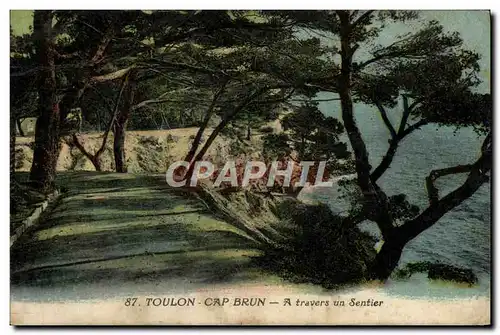 Cartes postales Toulon Cap Brun A travers un Sentier