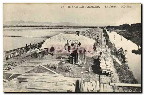 Cartes postales Hyeres les Palmiers Le Salins