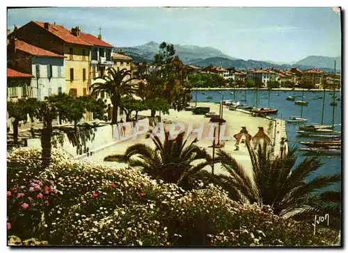 Cartes postales moderne Sanary sur Mer vu du chemin de la colline