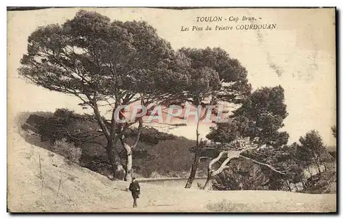 Cartes postales Toulon Cap Brun Les Pins du Peintre Courdouan