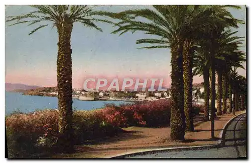 Cartes postales Toulon Boulevard du littoral Les palmiers