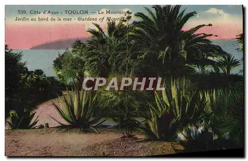 Cartes postales Toulon Le Mourillon Jardin au bord de la mer