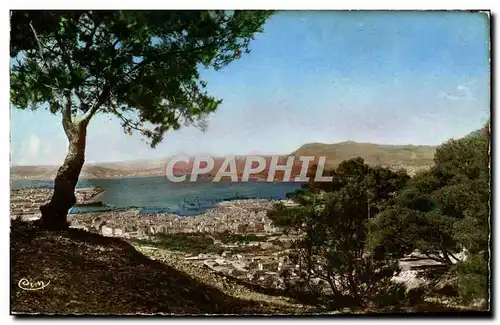 Cartes postales Vue Panoramique de Toulon