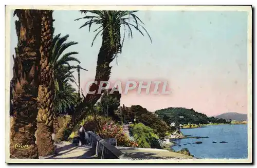 Cartes postales Toulon Le Boulevard du Littoral Le Palmier penche