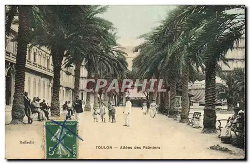 Ansichtskarte AK Toulon Allees des Palmiers (carte toilee)