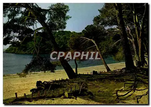 Cartes postales moderne Mediterranee aux plages d&#39or ensoleillees Calanque ou la vague s&#39abrite